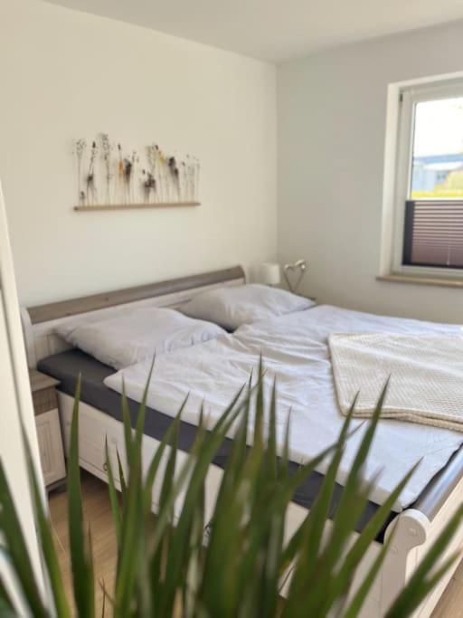 Apartment Nordlicht
